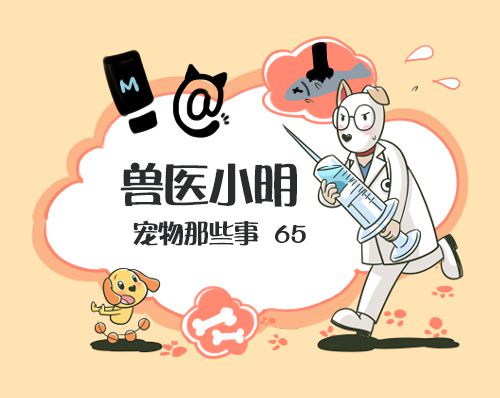 家中不明气体,家里出现不明气体