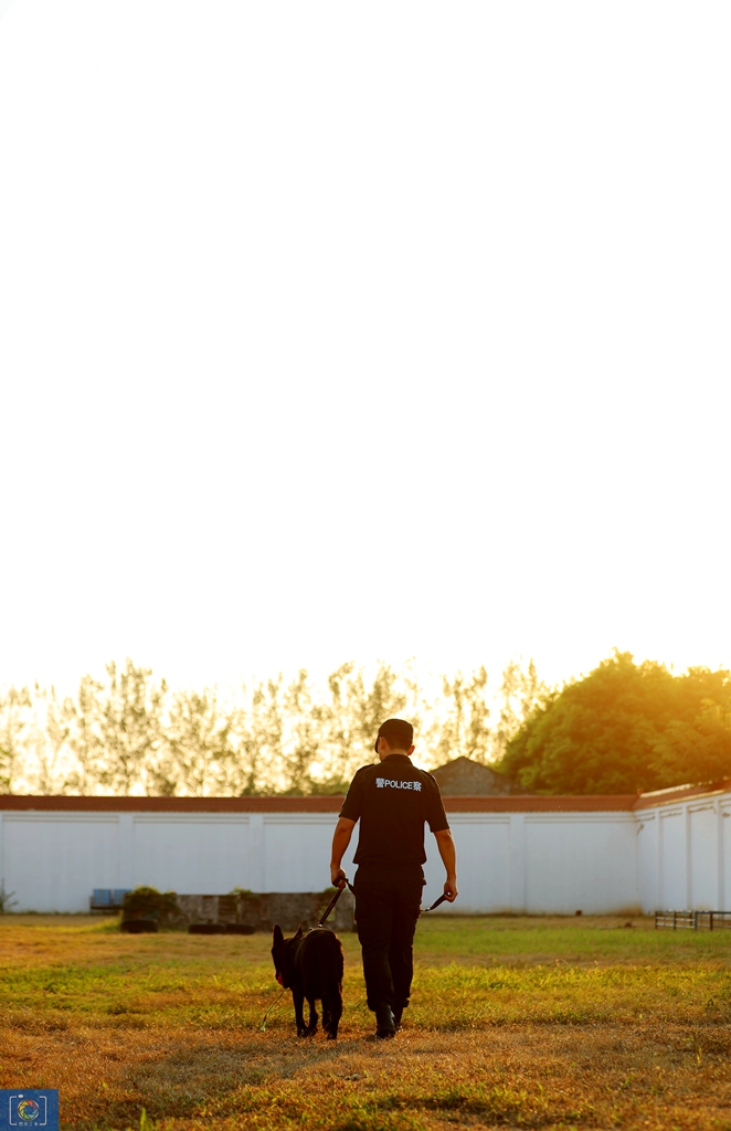 警犬训犬师的工作和生活,如何成为一名合格的警犬训导员