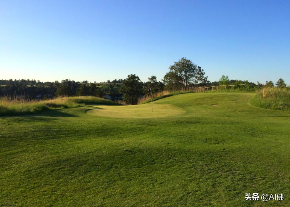 美国圆石滩高尔夫球场,美国高尔夫球场数量