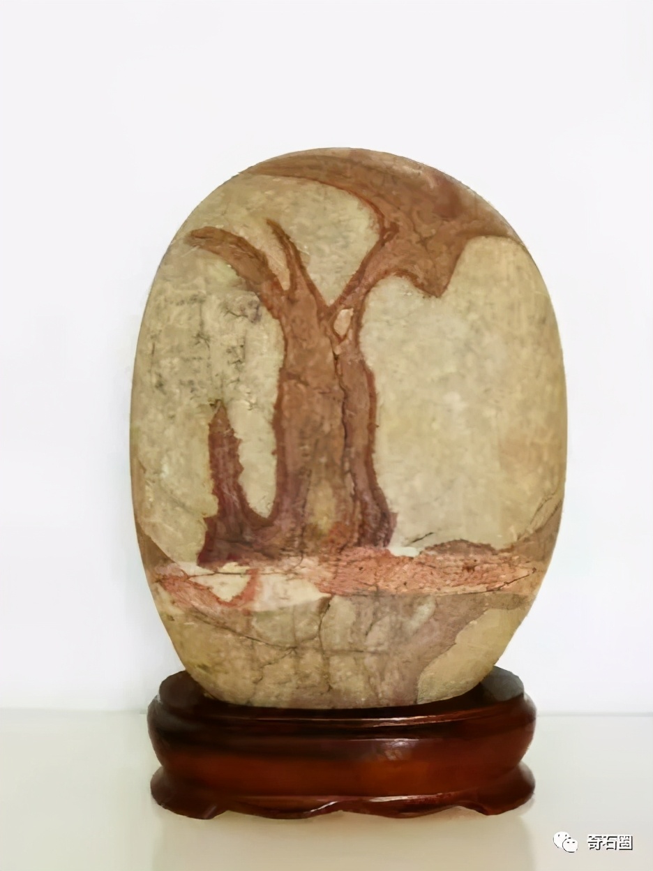 “一见倾心的石头”入围作品展播