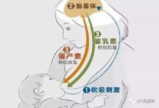 为什么有人母乳很多，有人怎么吃都母乳很少？3招帮你实现全母乳