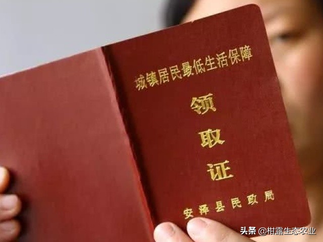 如何查询低保申请进度,毕节阴底乡路朗村2019年低保查询