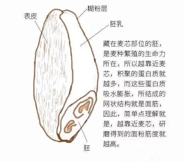 包饺子的六种神仙包法,包饺子学会了哪些方法