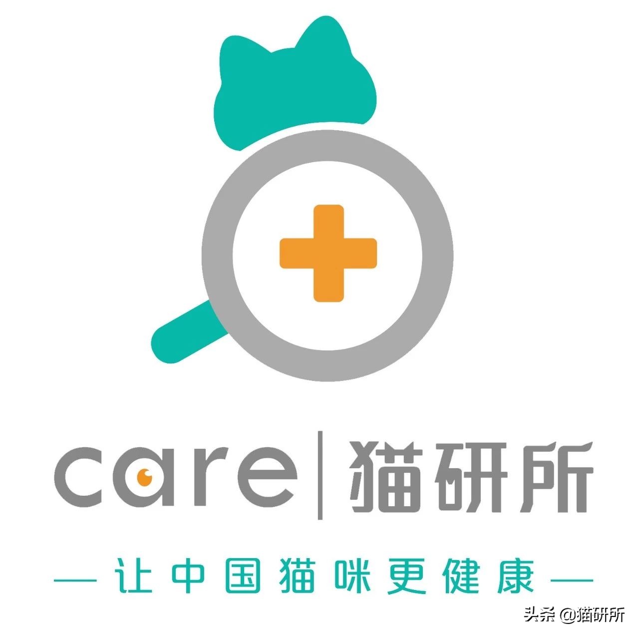 猫砂的100个常识,猫砂成分能被什么反应掉