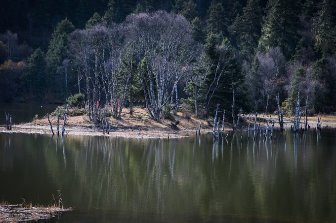 消失的地平线上的“香巴拉”和“女儿国”（二）
