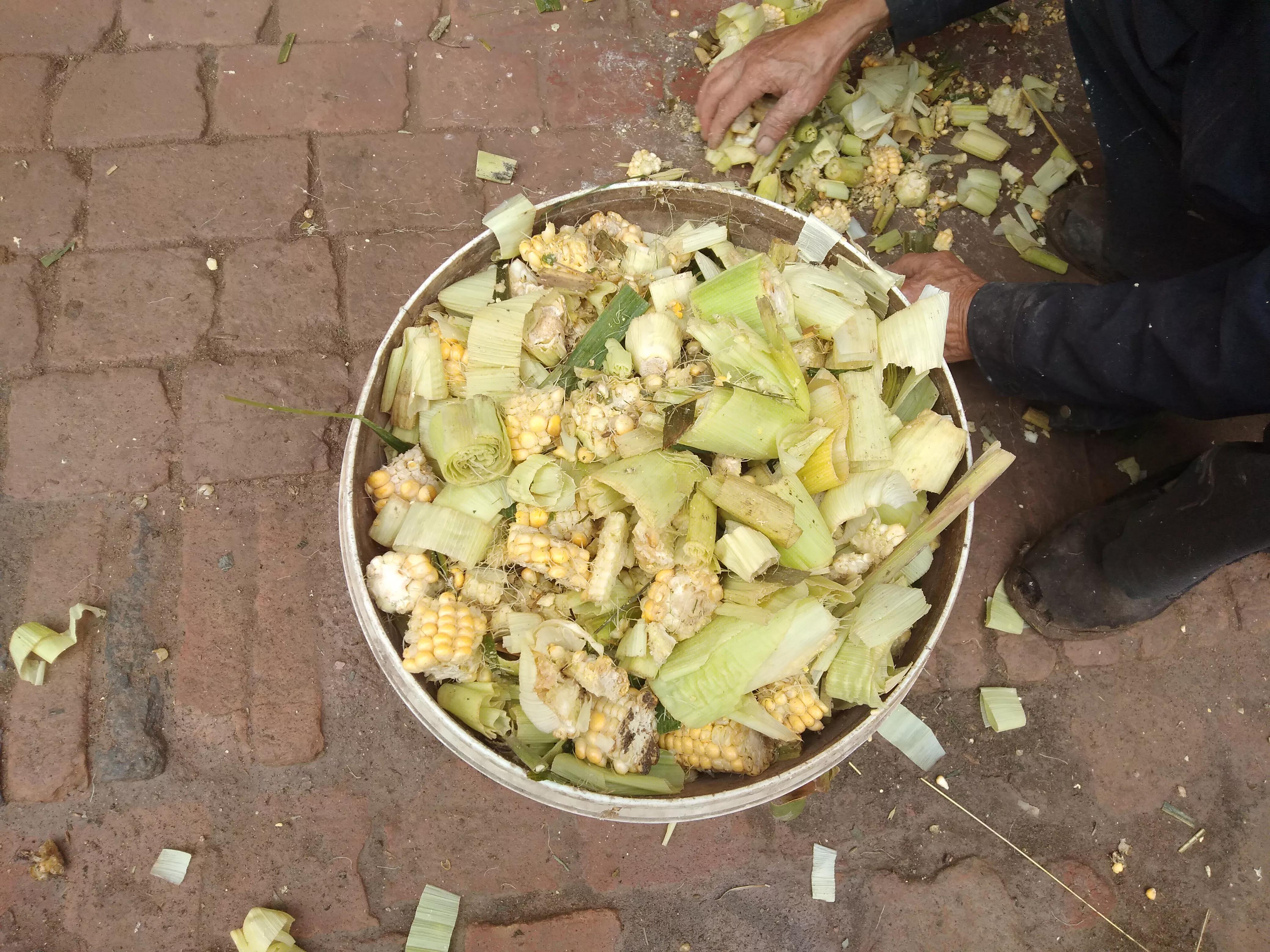 养羊十大关键技术知识,想养羊买什么样的羊更省钱更赚钱