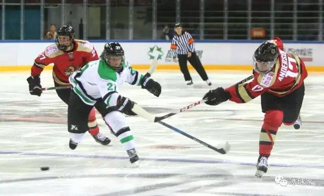 为什么打冰球容易打架,为什么打冰球的都是东北的