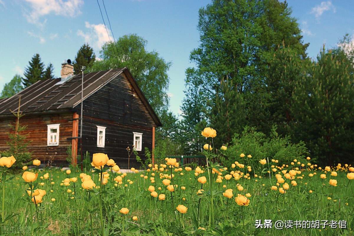向往田园生活的人说明什么,向往田园生活的句子