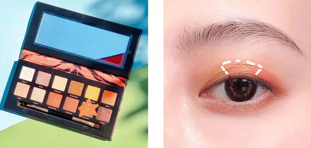 不超过100块钱的平价眼影盘推荐,不用代购的便宜好物