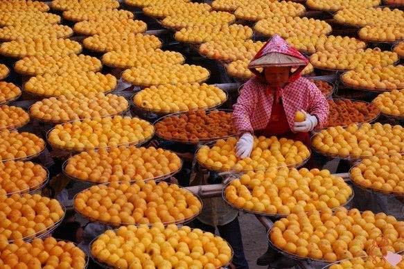 柿子可不可以和牛奶一块吃,柿子能和牛奶一起吃吗会结石吗