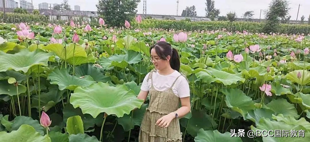 北大考古专业值不值得去,北大考古学真实水平