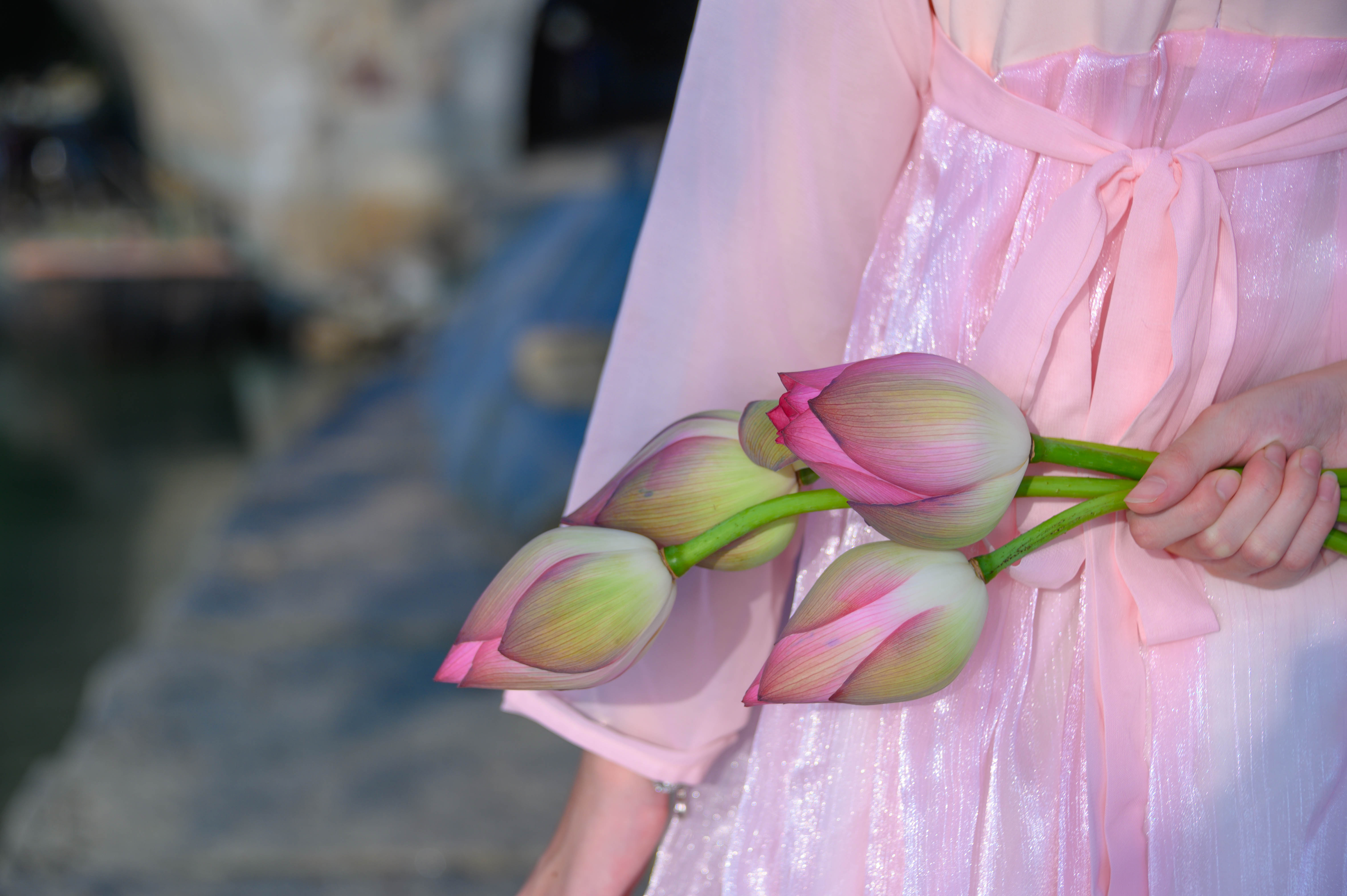 鑻忓窞瑗垮北鏈夊摢浜涘彜鏉戣惤,鑻忓窞瑗垮北鐨勫彜鏉戣惤