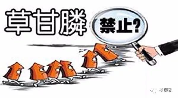 禁用的除草剂,除草剂为什么不能用了