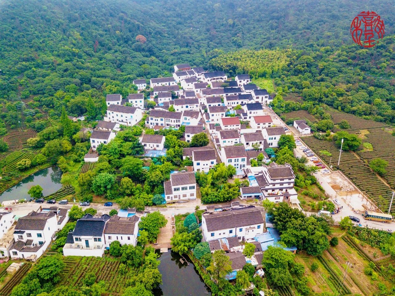 通安镇苏州,苏州通安通航水稻农场