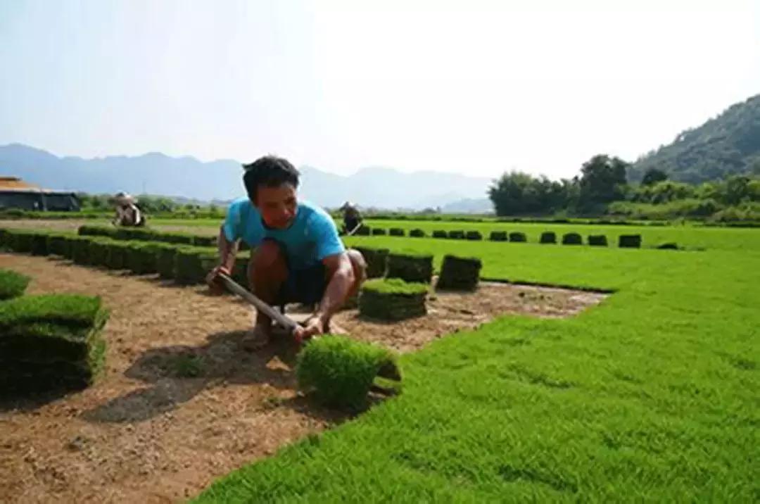 美妆黑话你知道几个,美妆黑话100个