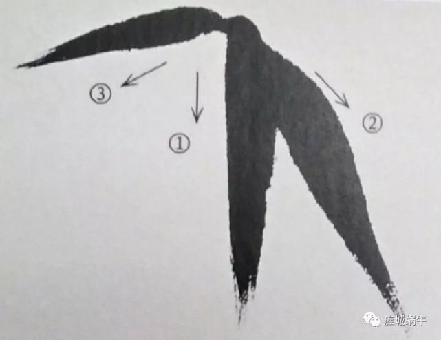 竹叶的画法模板,竹叶的钢笔画法