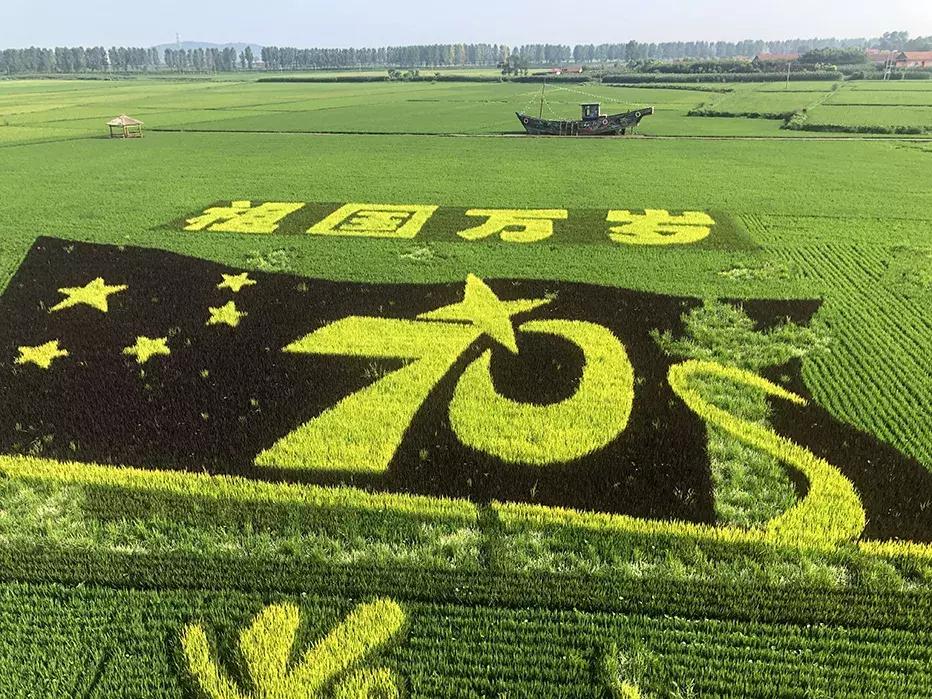 丹东沿海干净小岛旅游攻略,丹东旅游特色美食攻略图