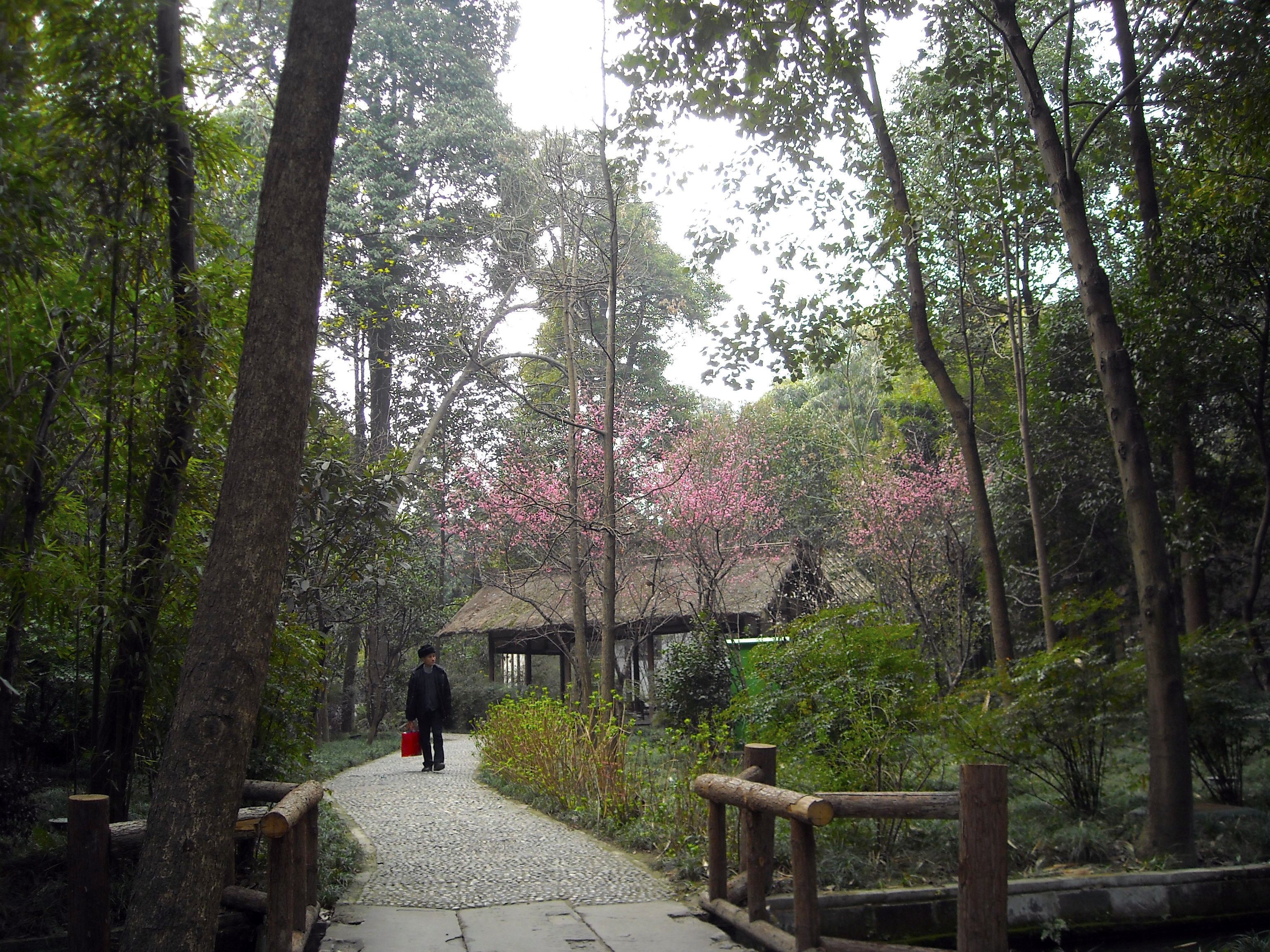 成都杜甫草堂一日游,到成都必须玩的景点是哪几个