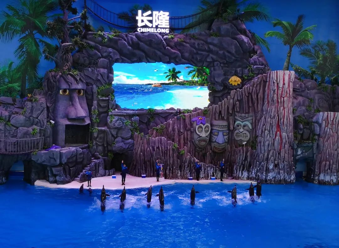 横琴奏一曲：瑜家的温馨丨初夏.珠海后花园畅游记