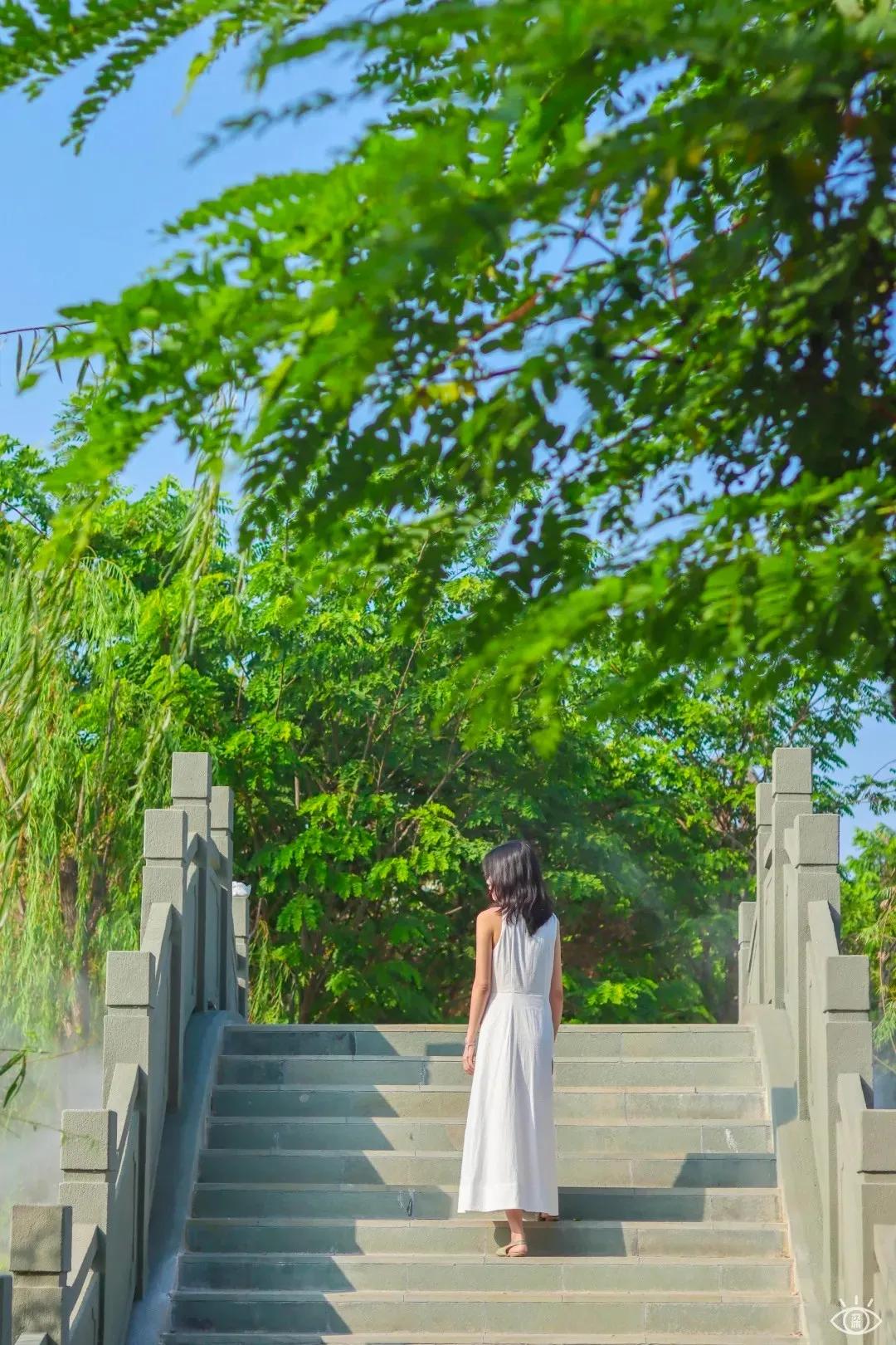 深圳免费景点好玩排名,深圳这些新公园免费玩