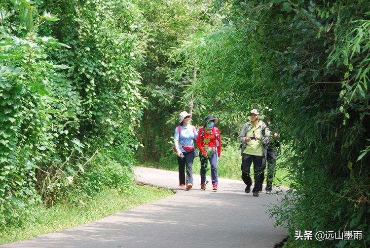 昆明嘉丽泽旅游景区,昆明嘉丽泽湿地露营