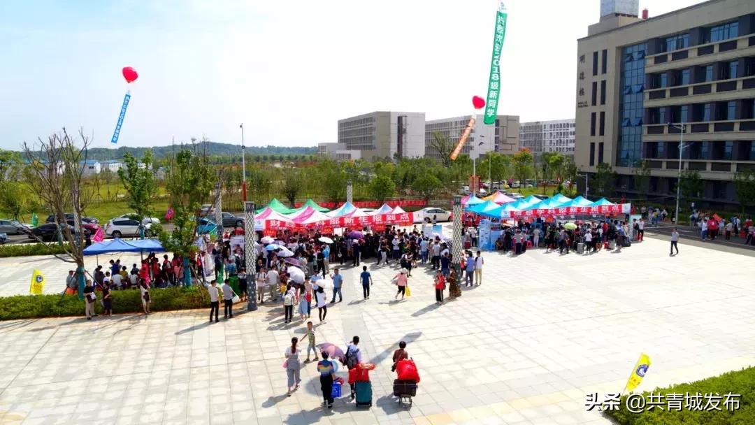 从a到z的成长,从a到z爱上茶的理由