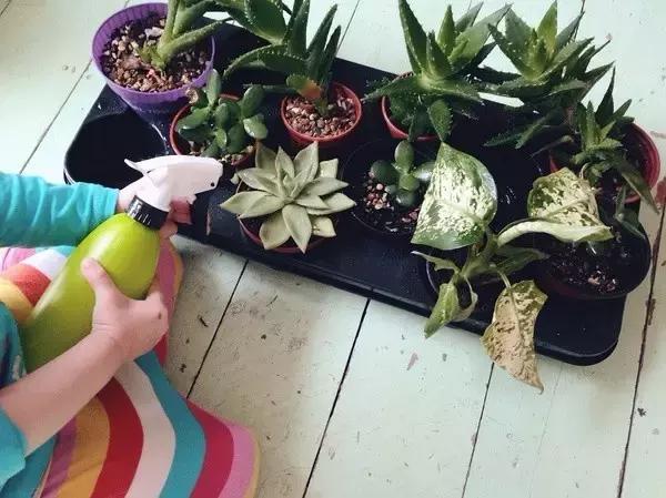 0-3岁儿童幼儿园游戏亲子益智游戏,蒙氏幼儿小游戏