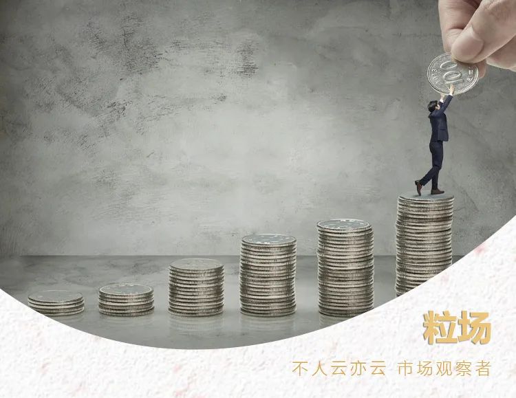 上海重塑能源科技有限公司大股东,上海重塑能源科技有限公司邢建武