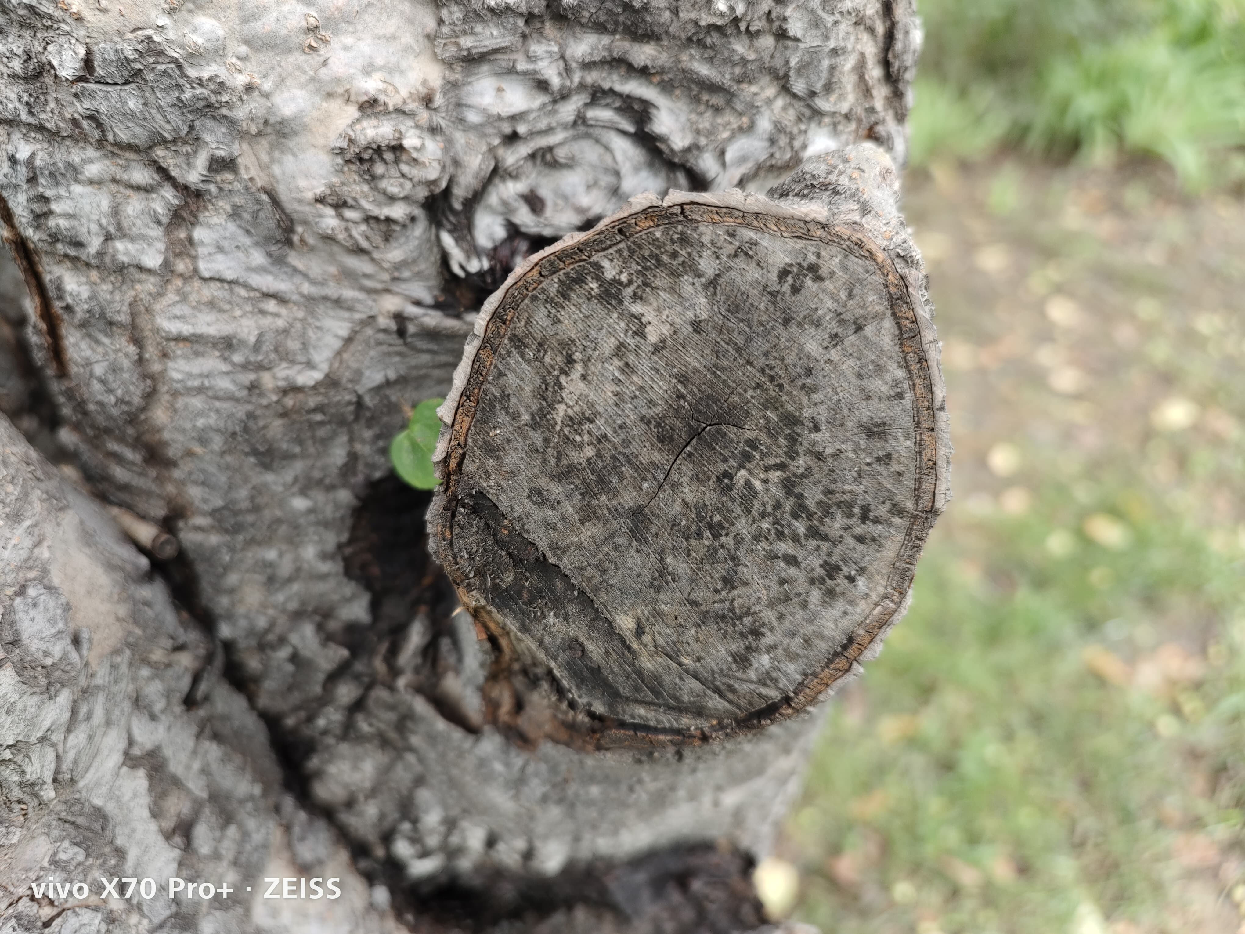 vivox70pro+双扬声器音质评测,vivox80pro天玑版评测