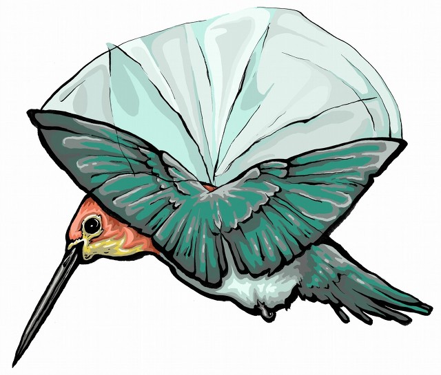 中西双语阅读墨西哥人的蜂鸟情结