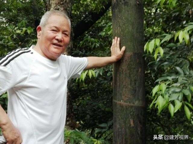 建芳视界最新图片,建芳视界