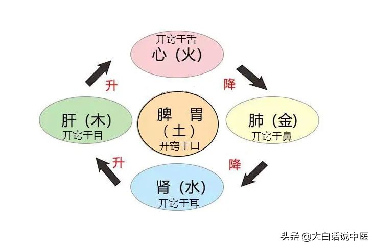 收好这份老年痴呆预防指南,如何预防老年痴呆中医
