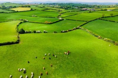 宝宝便秘消化不良吃什么中药调理,宝宝消化不良便秘最好的解决方法