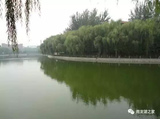 郑州南大学城起点-*达升**为什么选址龙湖镇