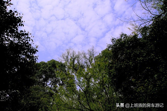 周末微旅行：秦望山麓访名校，白沙堤岸醉桃柳（第二季）