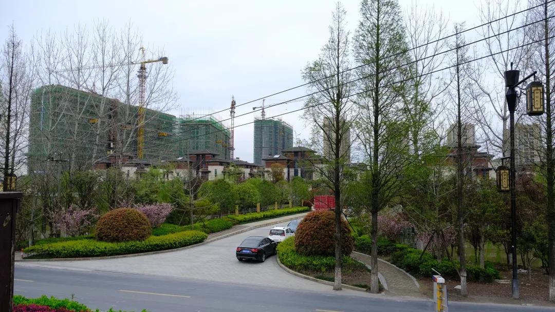 朝闻天下楼盘为什么这么便宜,潮闻天下房价