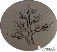 盆景结顶的形式,最好的盆景结顶方法