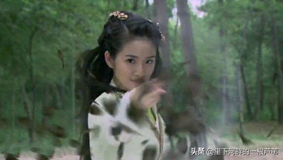 射雕英雄传十大绝顶高手,射雕英雄传十大绝顶武功