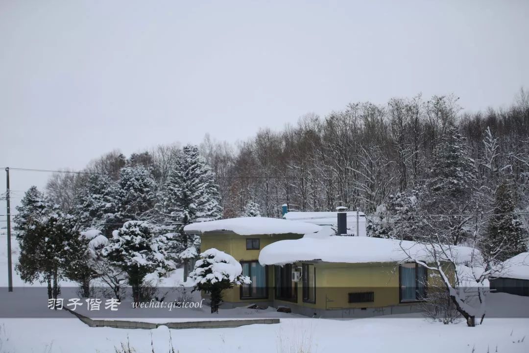 日本10天自由行费用北海道,东京北海道5日自由行攻略