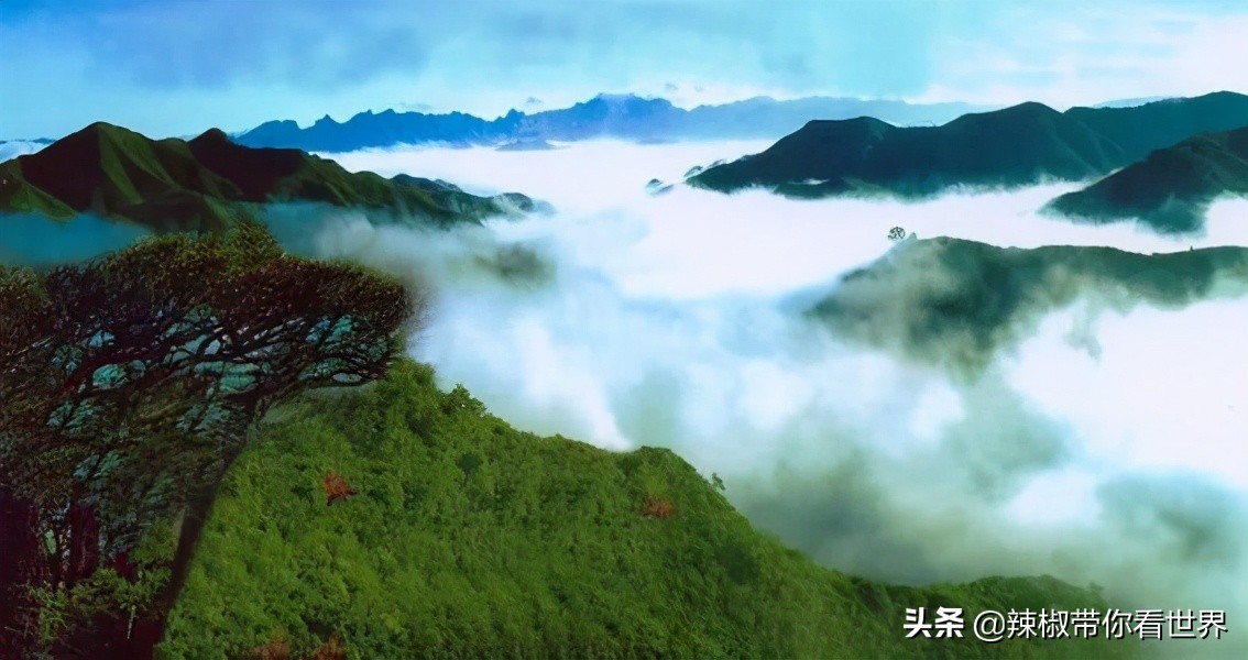 从西到东：贵州——沿河流“黔”行在这里一万种辣椒吃法向你奔来