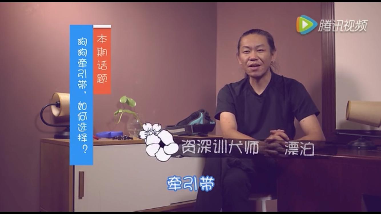 狗狗牵引带,狗狗防爆冲牵引绳怎么佩戴