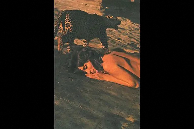 她21岁被性侵,41年来靠画像抓获1266名罪犯,创吉尼斯世界纪录