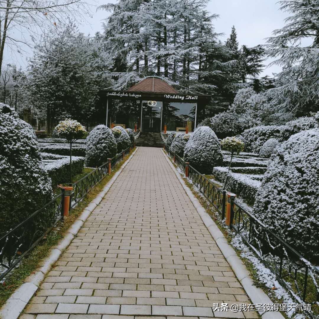 格鲁吉亚途游,格鲁吉亚自由行游记