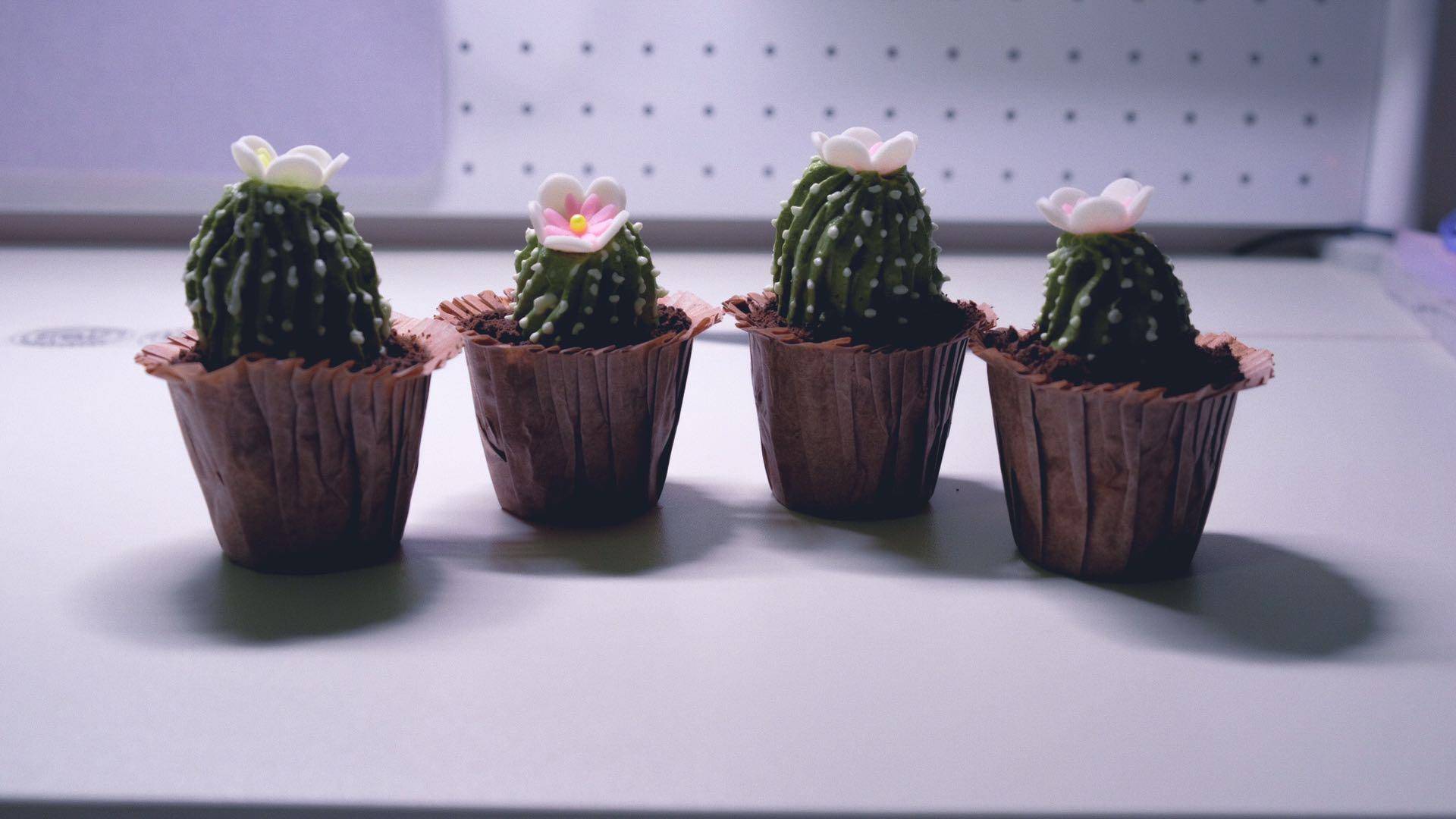 零基础的最新裱花教程你学会了吗,学习裱花速成的办法