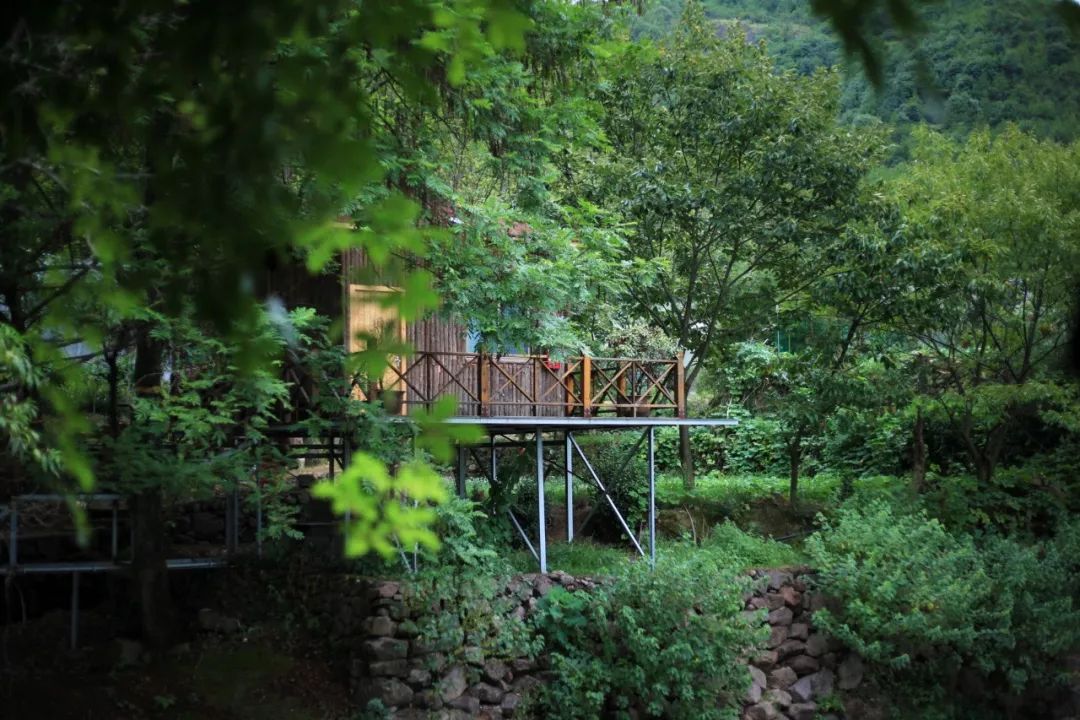 写秋诗四首大全,十首写秋杰出诗词钟爱哪一首