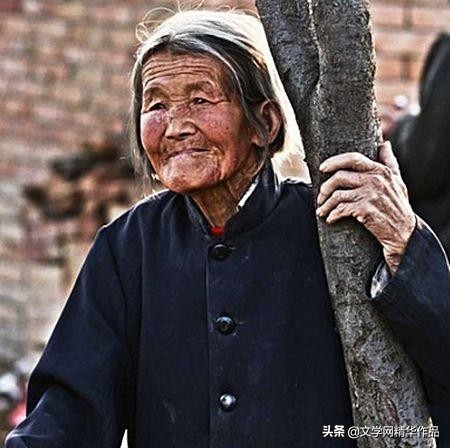 一朵美丽的康乃馨,一朵美丽的康乃馨图