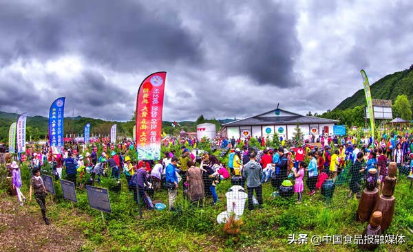 延边悟德酱露酒多少钱,延边悟德酱露酒董事长