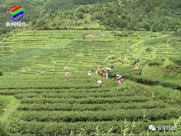 云浮石材荒料出售,云浮荒料石材厂家价格