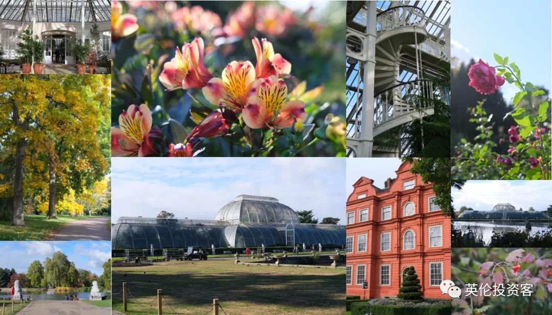 英国伦敦肯辛顿公园,伦敦富人区小众公园