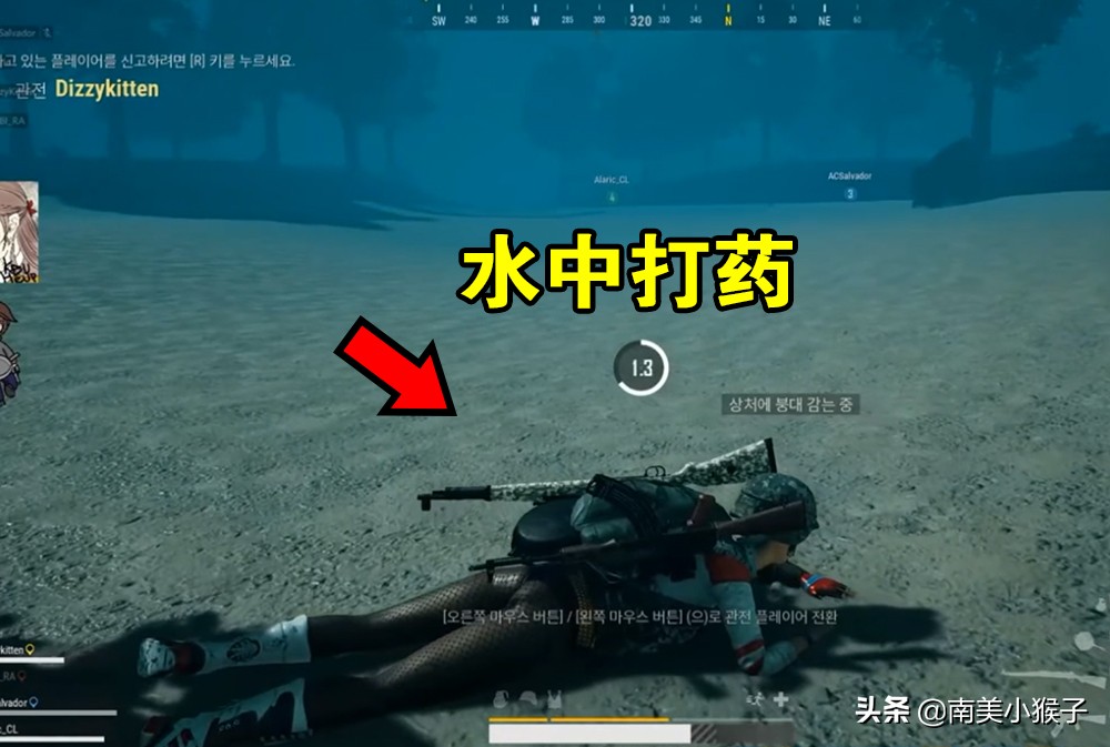 绝地求生的海里有什么？网红“鲲”上榜，你见过几个？